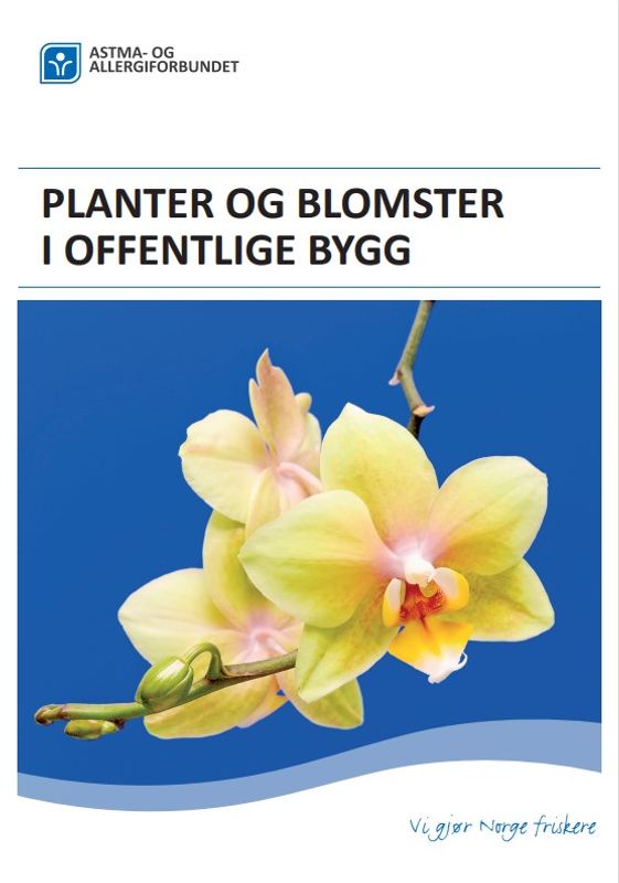 Planter og blomster i offentlige bygg